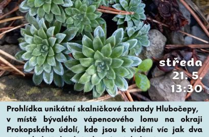 Návštěva skalničkové zahrady