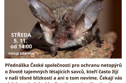 Netopýři - tajemní a zranitelní