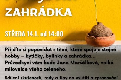 Bylinky, pokojovky, zahrádka