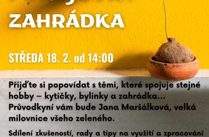 Bylinky, pokojovky, zahrádka