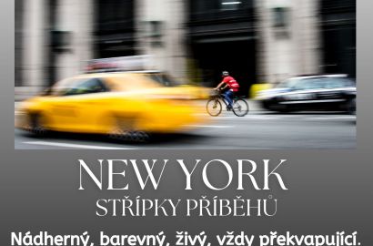 Výstava - New York, E. Rafajová