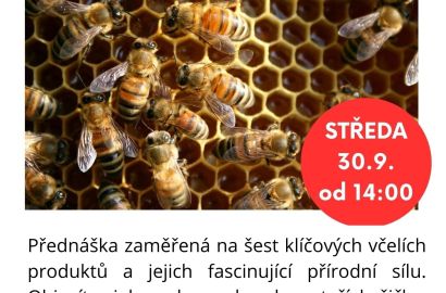 Setkání s včelařem