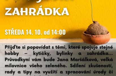 Bylinky, pokojovky, zahrádka