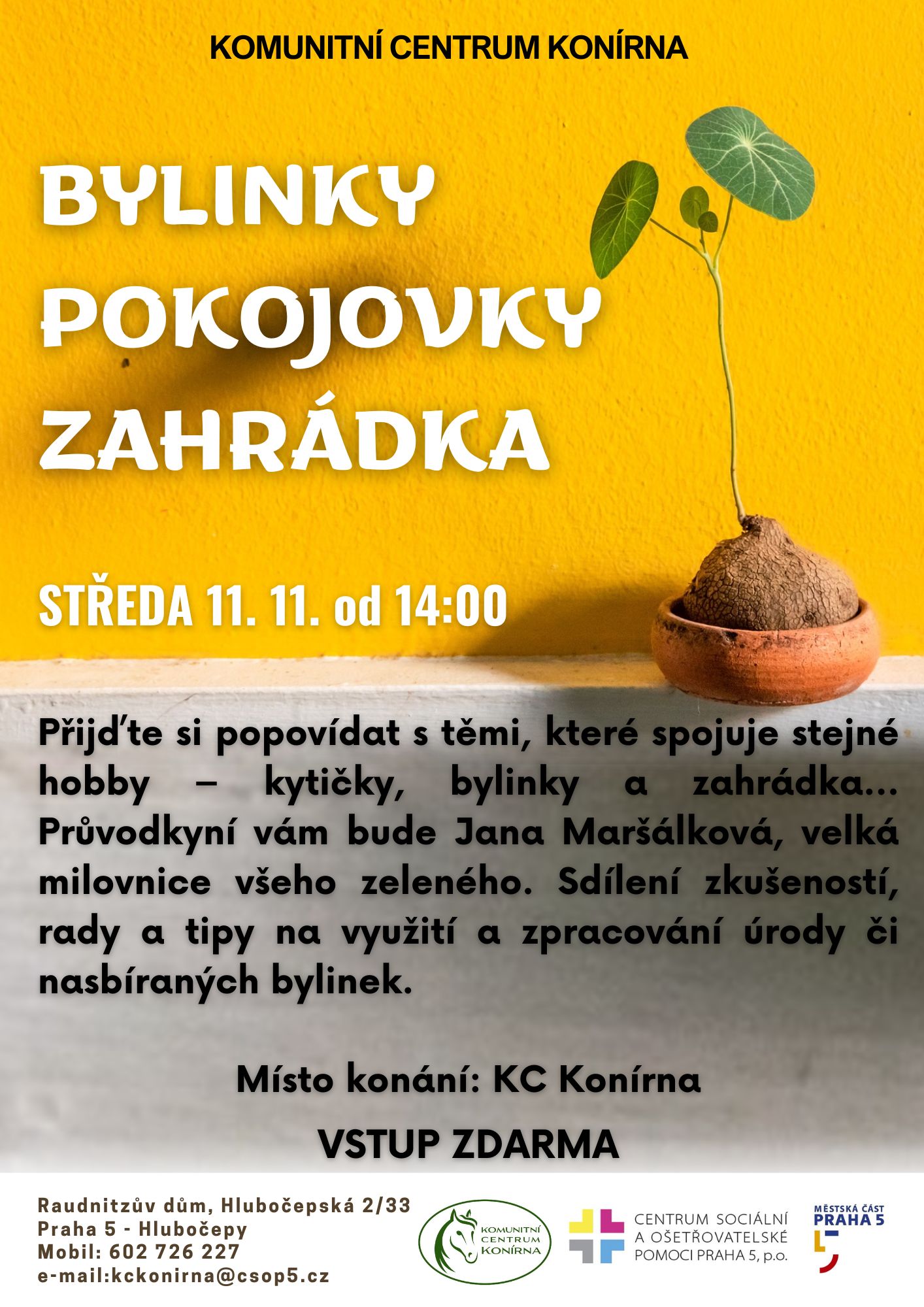 KCK bylinky